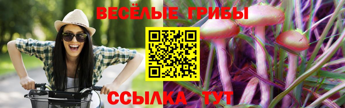 Галлюциногенные грибы Psilocybe Советский